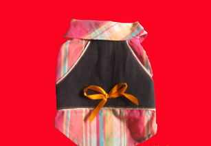 青島、威海、上海高檔寵物服飾用品供應全解析